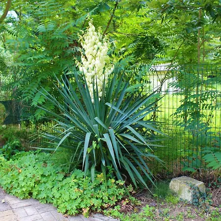 Hotel Pop Art Primorsko