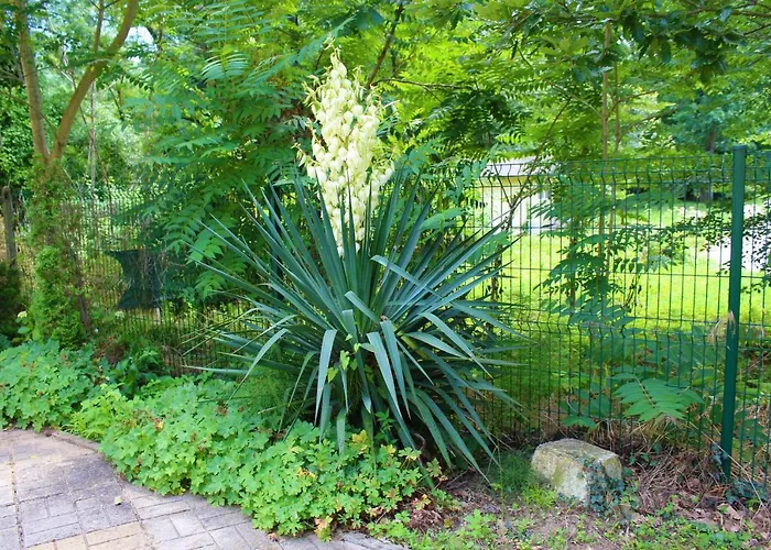 Hotel Pop Art Primorsko